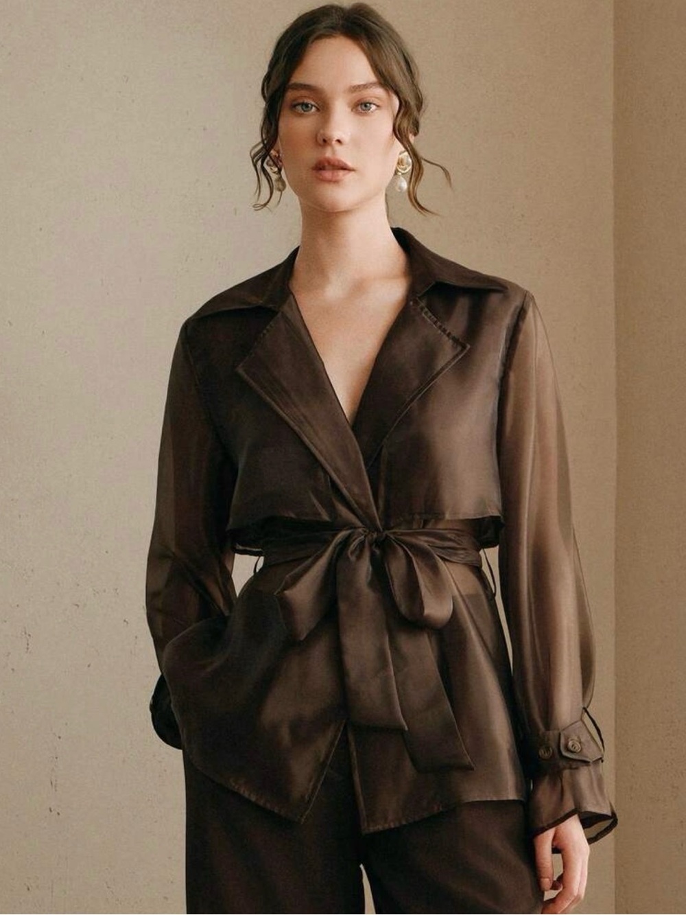 NWT Brown Sheer Organza Long Sleeve Tie-Waist Wrap Blouse Top, Large 8 / 10